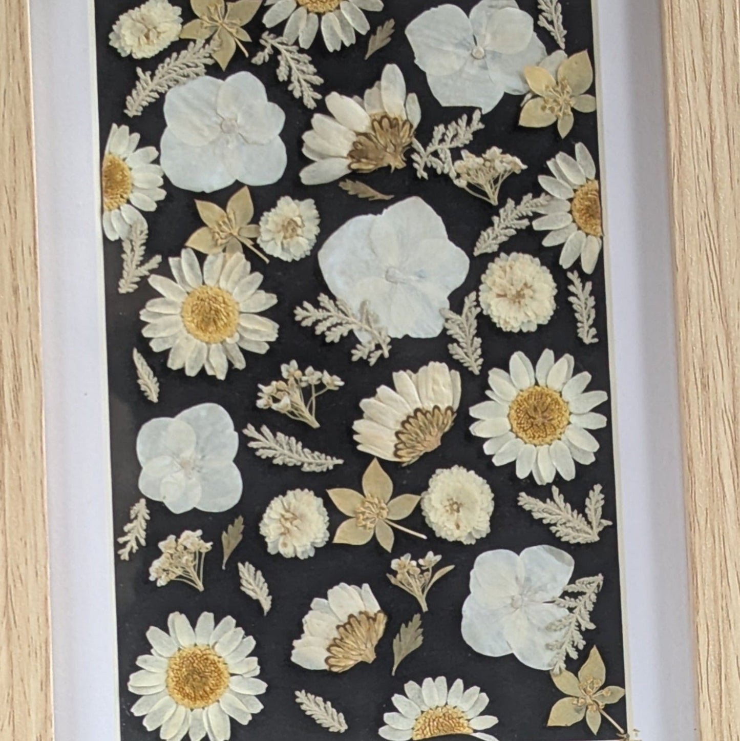 Détail de la composition de fleurs séchées pressées sur fond noir, encadrée, collection Herbier
