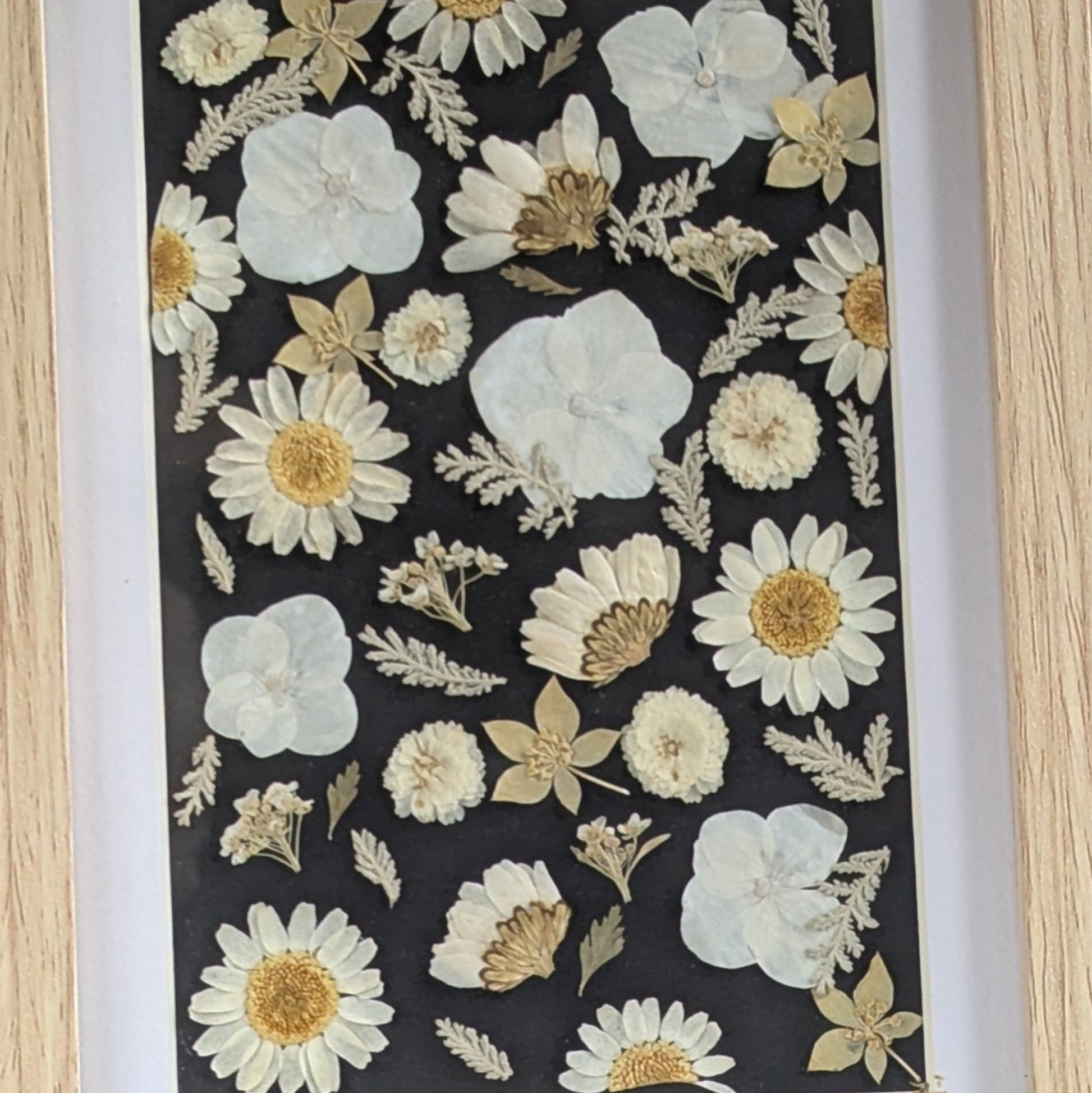 Détail de la composition de fleurs séchées pressées sur fond noir, encadrée, collection Herbier
