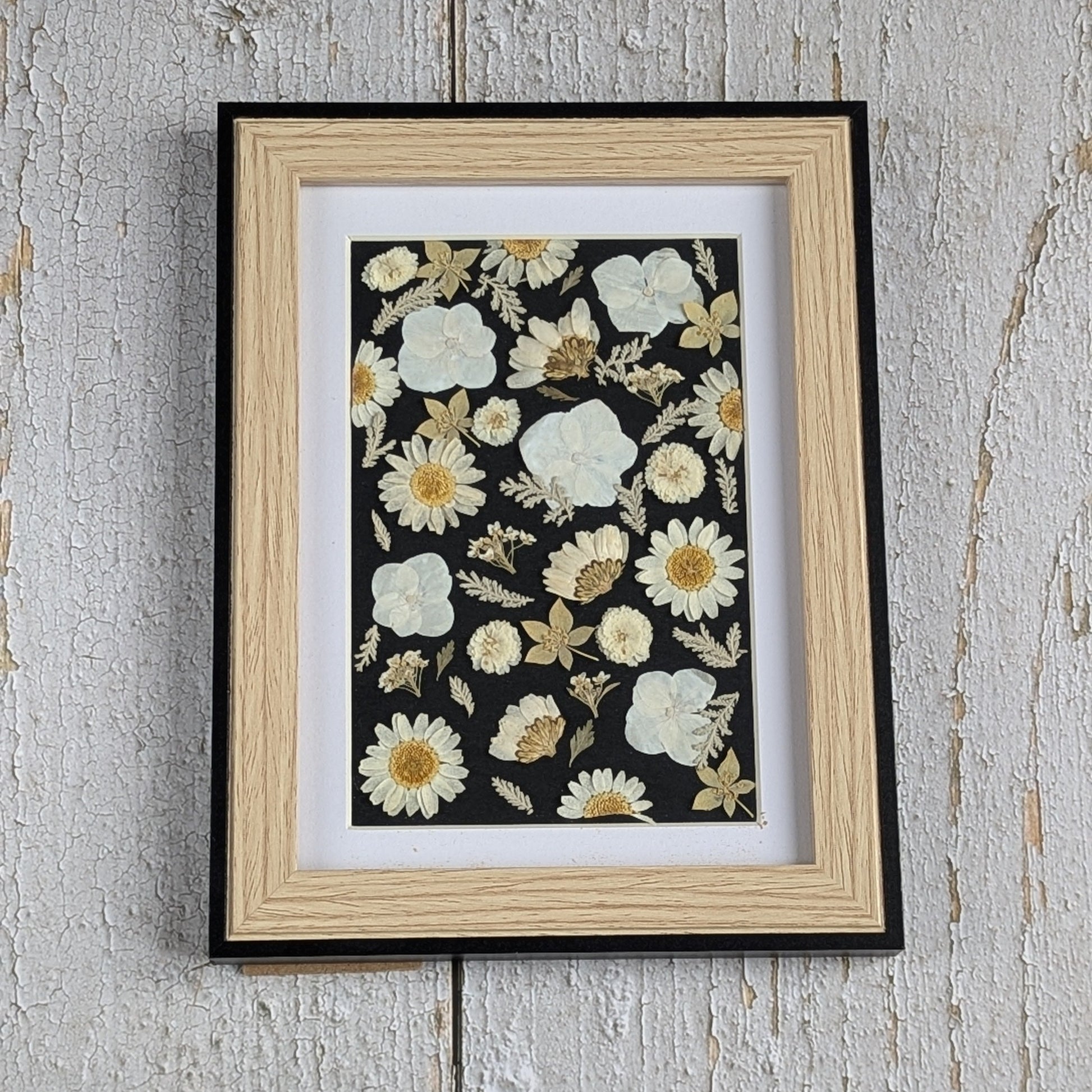 Composition de fleurs séchées pressées sur fond noir, encadrée, collection Herbier