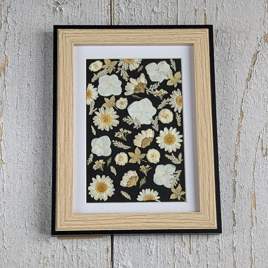 Composition de fleurs séchées pressées sur fond noir, encadrée, collection Herbier