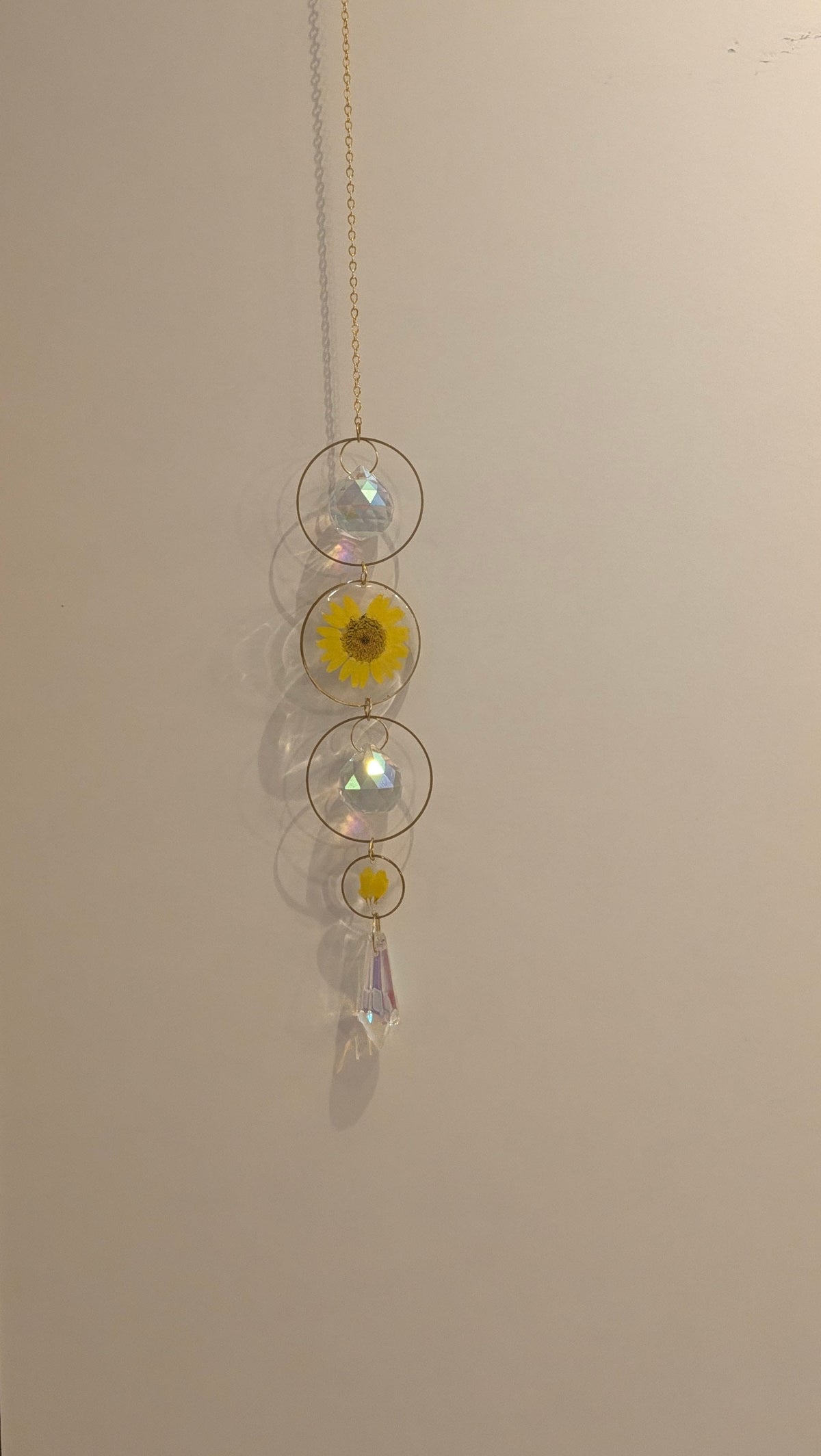 Sun Catcher fleuri – Attrape-soleil aux fleurs naturelles