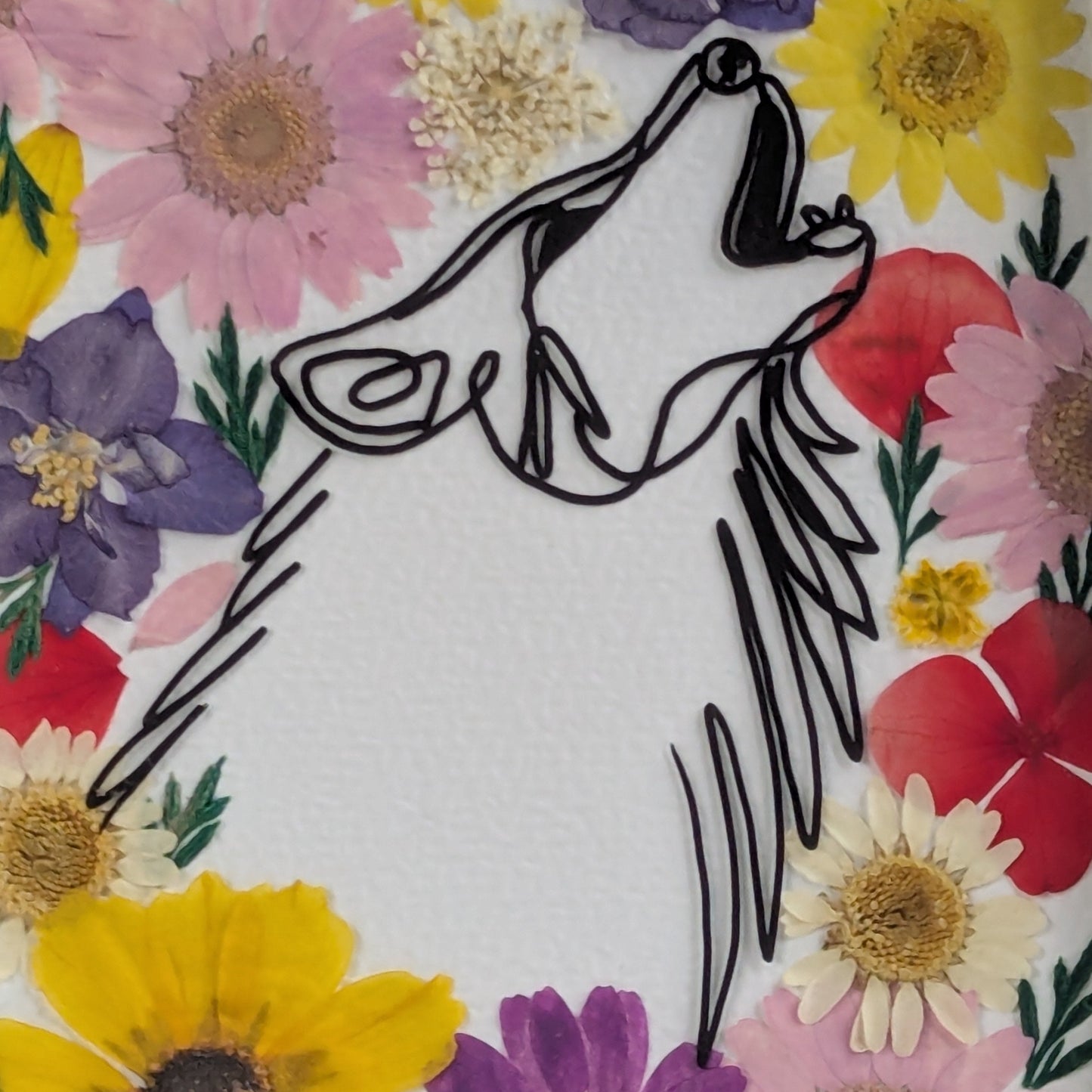Détail du dessin du loup illustré au trait fin noir, entouré de fleurs séchées pressées colorées dans un petit cadre blanc, collection Faunea