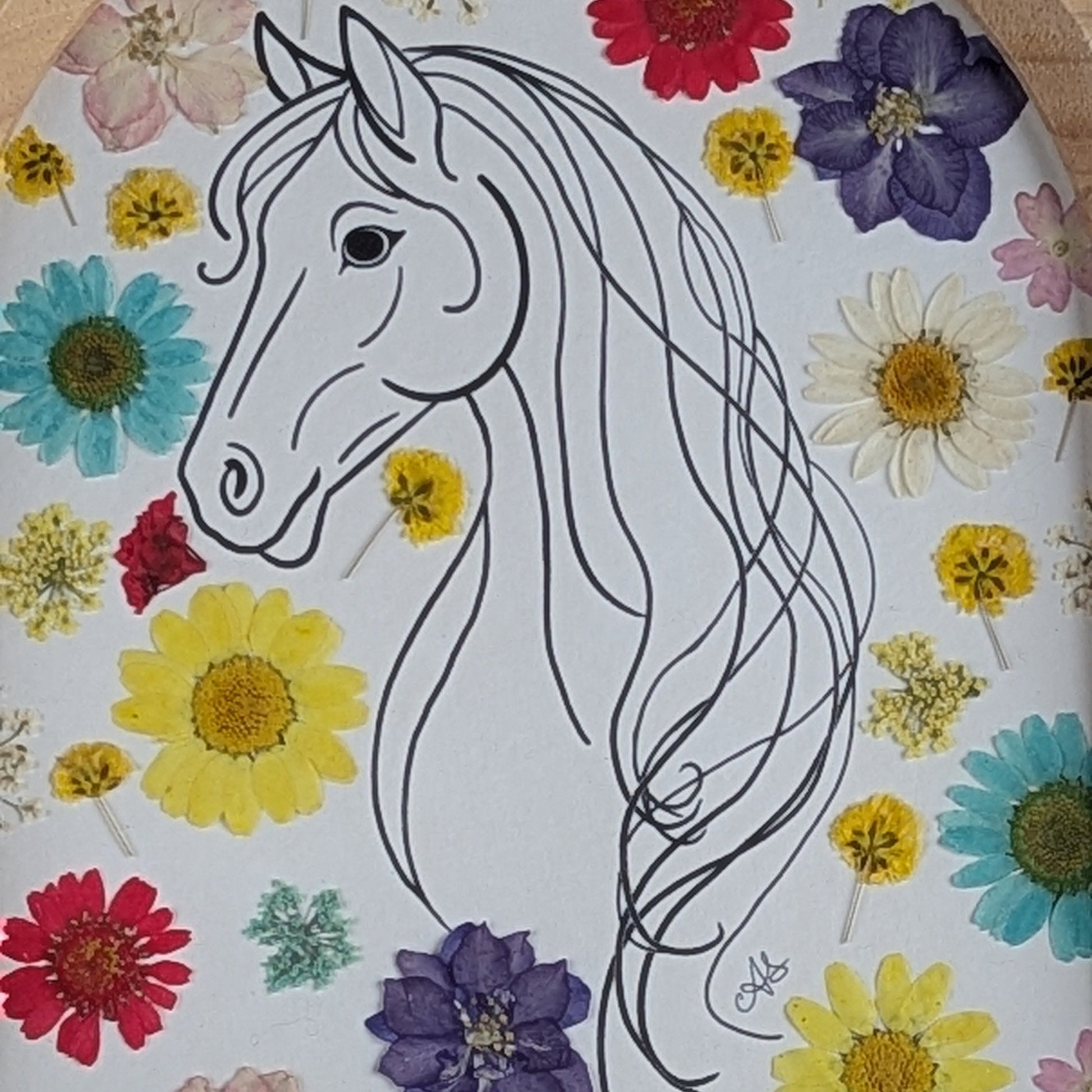 Détail du dessin imprimé de cheval et des fleurs séchées pressées dans un cadre Faunéa