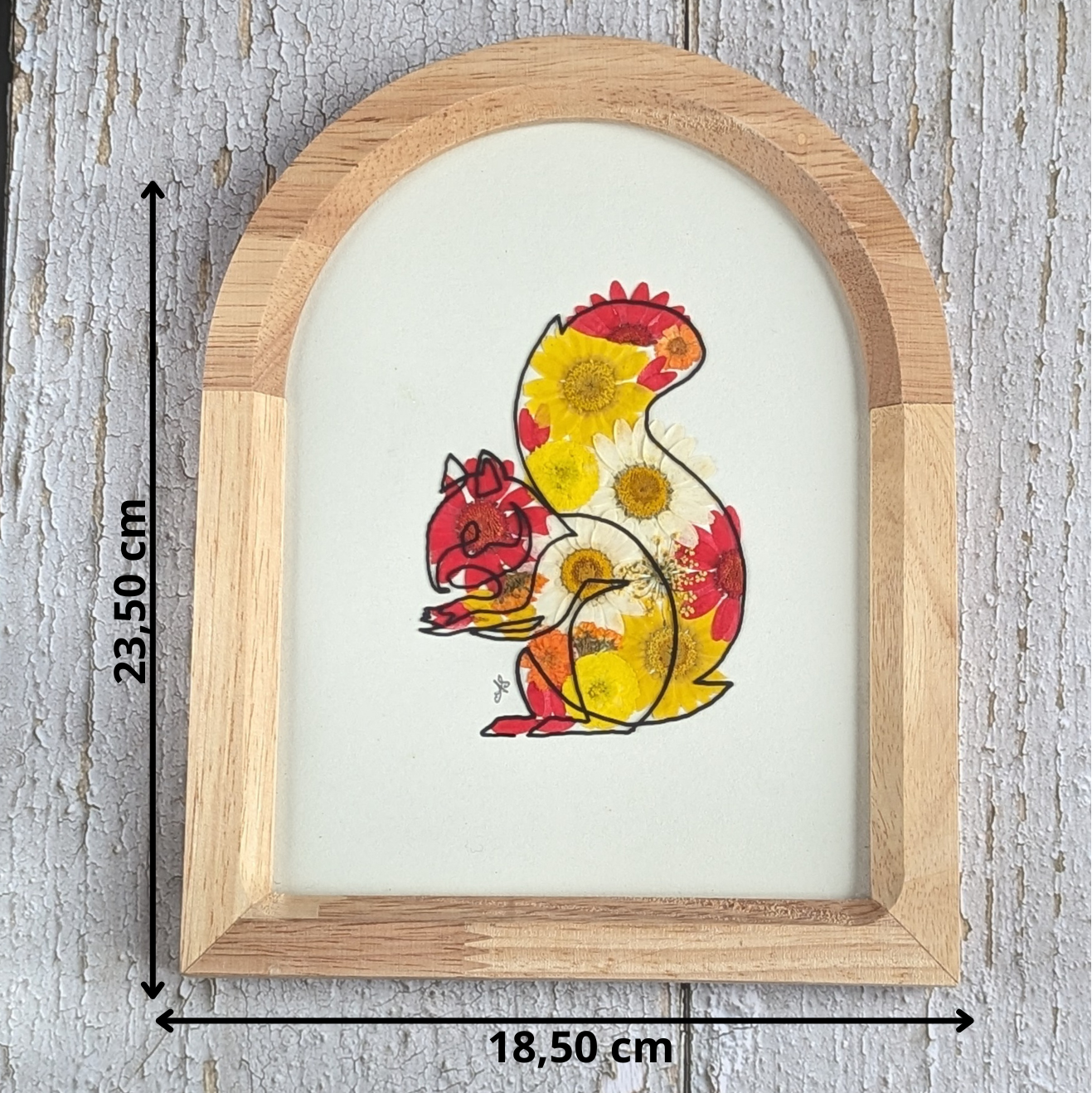 Cadre Faunéa avec dessin imprimé d’écureuil et fleurs séchées pressées avec indication des dimensions