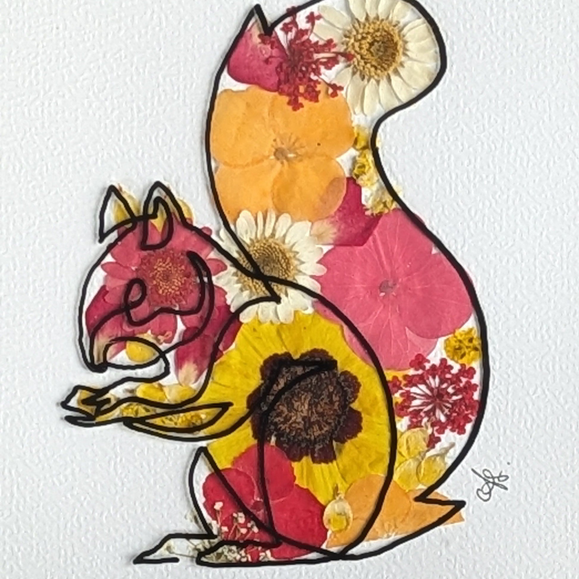 Détail du dessin sur vitre d’un écureuil et des fleurs séchées pressées dans un cadre Faunéa