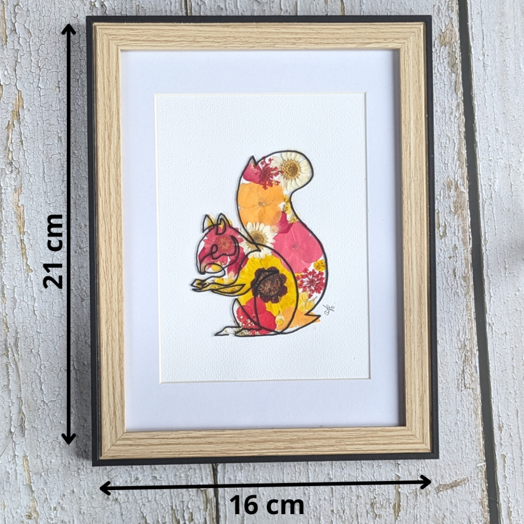 Cadre Faunéa avec dessin sur vitre d’un écureuil et fleurs séchées pressées avec indication des dimensions