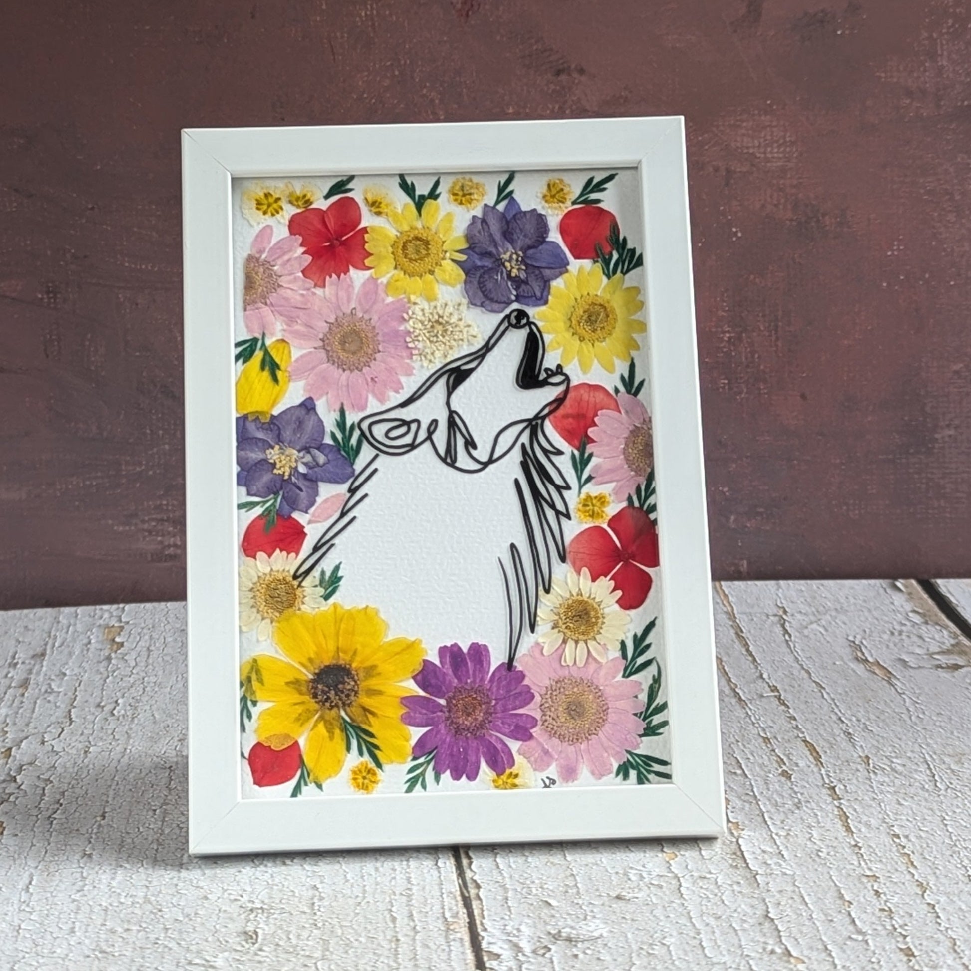 Illustration d’un loup au trait fin noir, entouré de fleurs séchées colorées, encadrée, collection Faunea