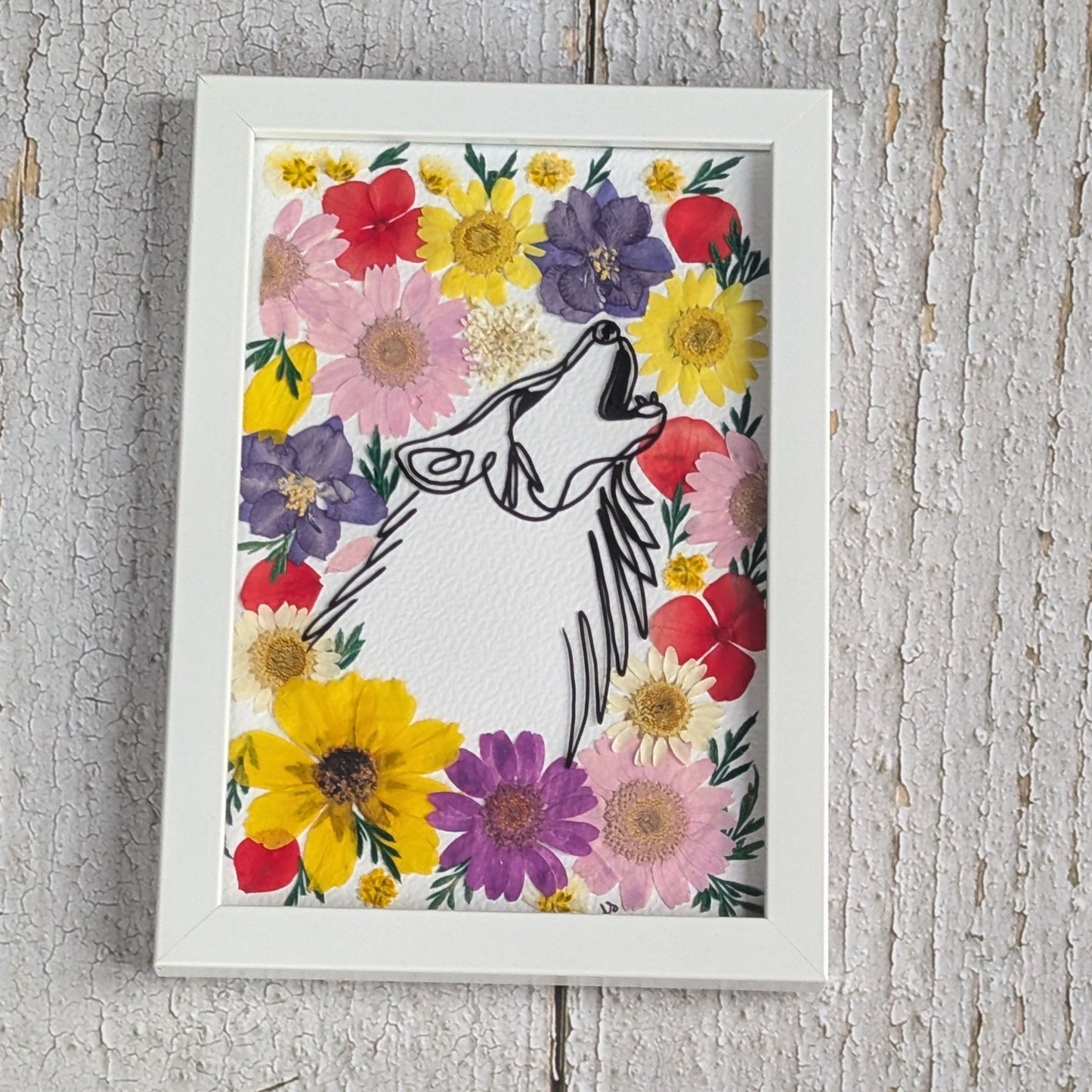 Illustration d’un loup au trait fin noir, entouré de fleurs séchées colorées, encadrée, collection Faunea