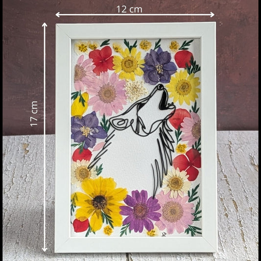 Mesure du cadre Illustration d’un loup au trait fin noir, entouré de fleurs séchées colorées, encadrée, collection Faunea