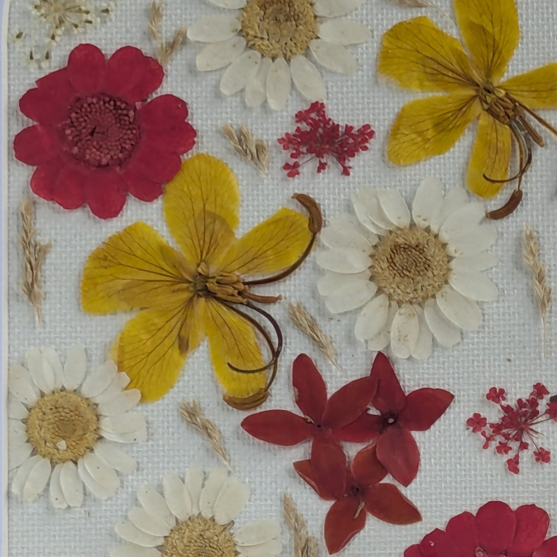 Détail des fleurs séchées pressées rouges et jaunes composant un cadre Florésie en forme d’arche