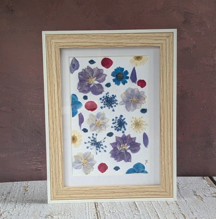 Cadre Florésie avec composition de fleurs séchées pressées bleues, violettes et claires sur fond blanc