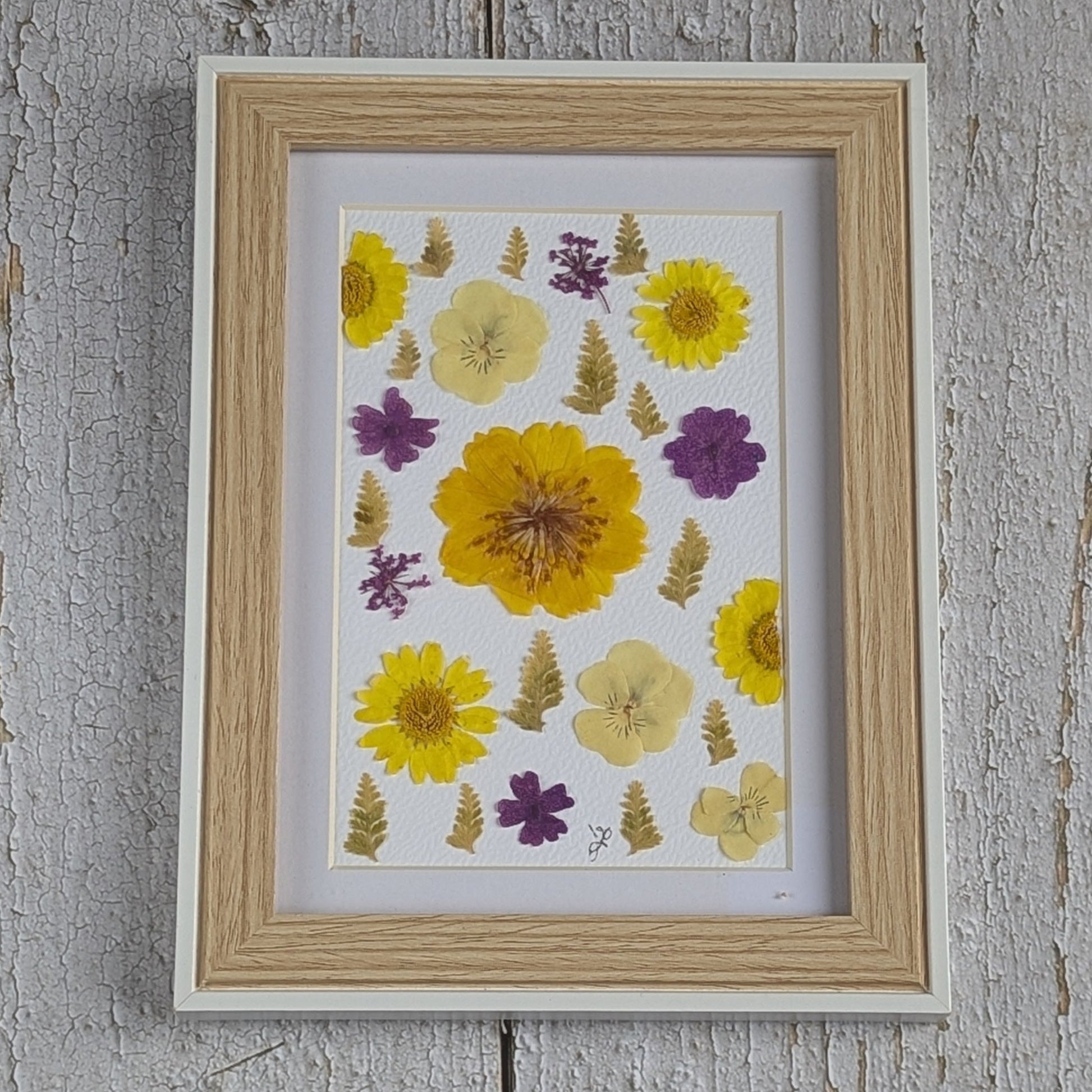 Cadre Florésie avec composition de fleurs séchées pressées jaunes et violettes sur fond clair