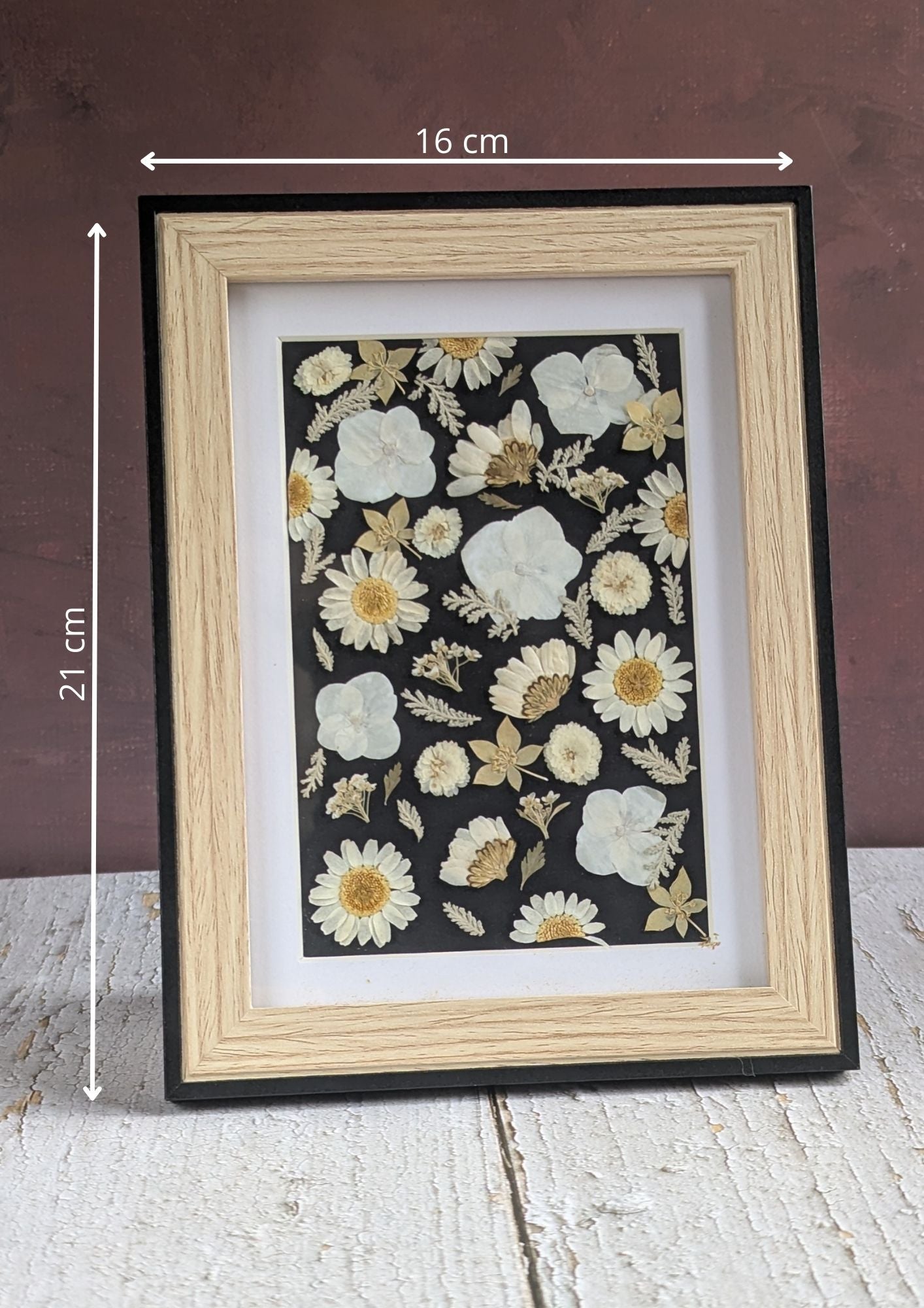 Fleurs pressés blanches sur fond noir